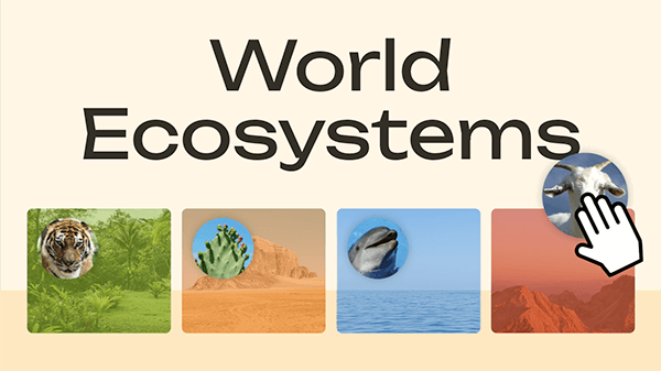 World Ecosystems