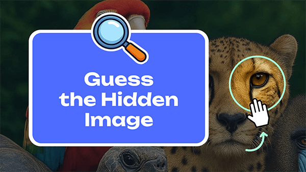 Guess the Hidden Image